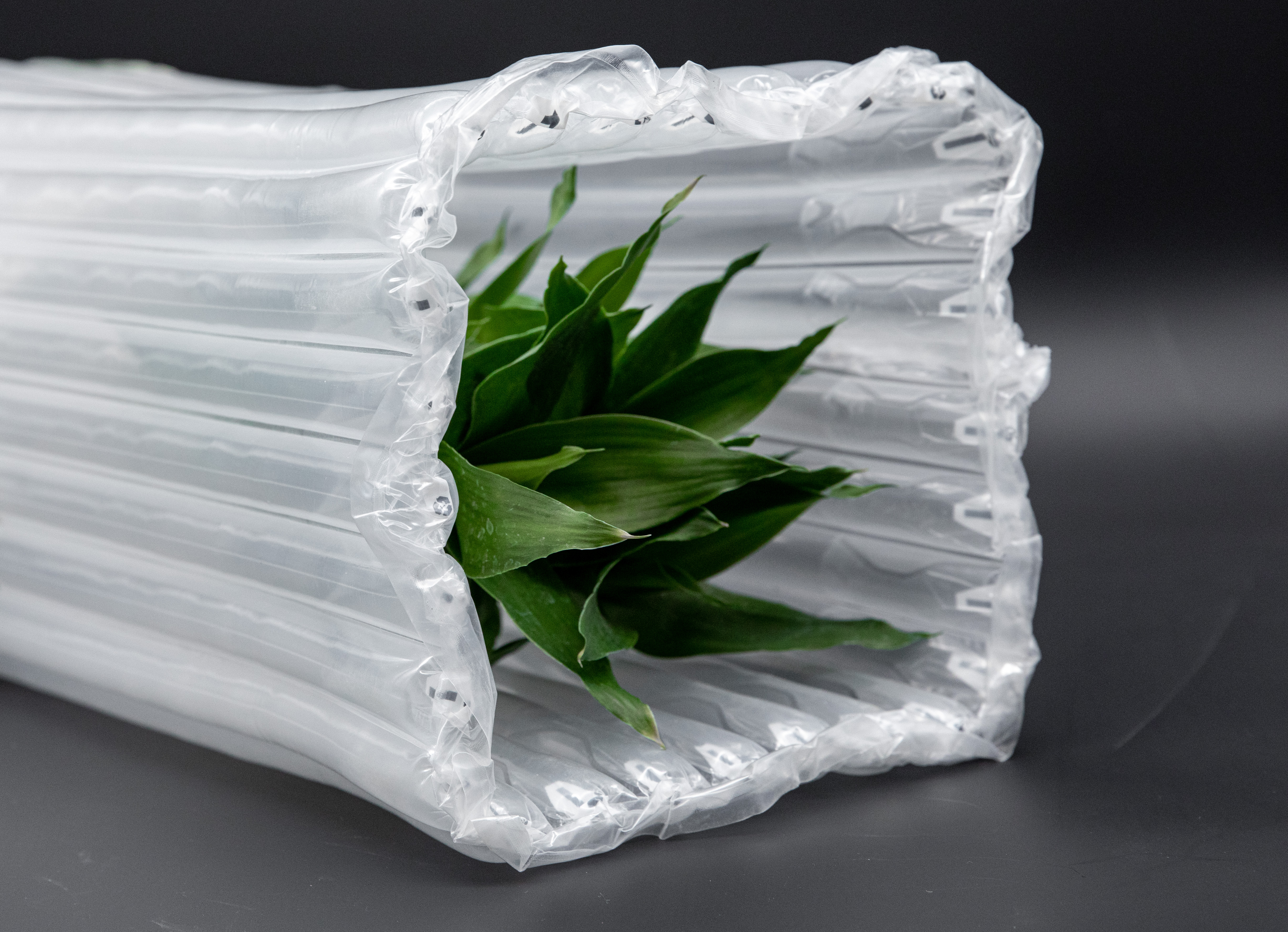 Bolsa de columna de aire reciclable transparente para transporte