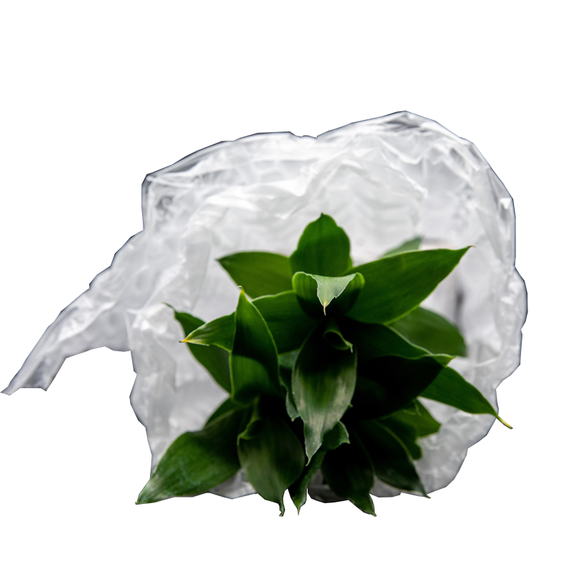 Bolsas de plástico de burbujas de aire biodegradables