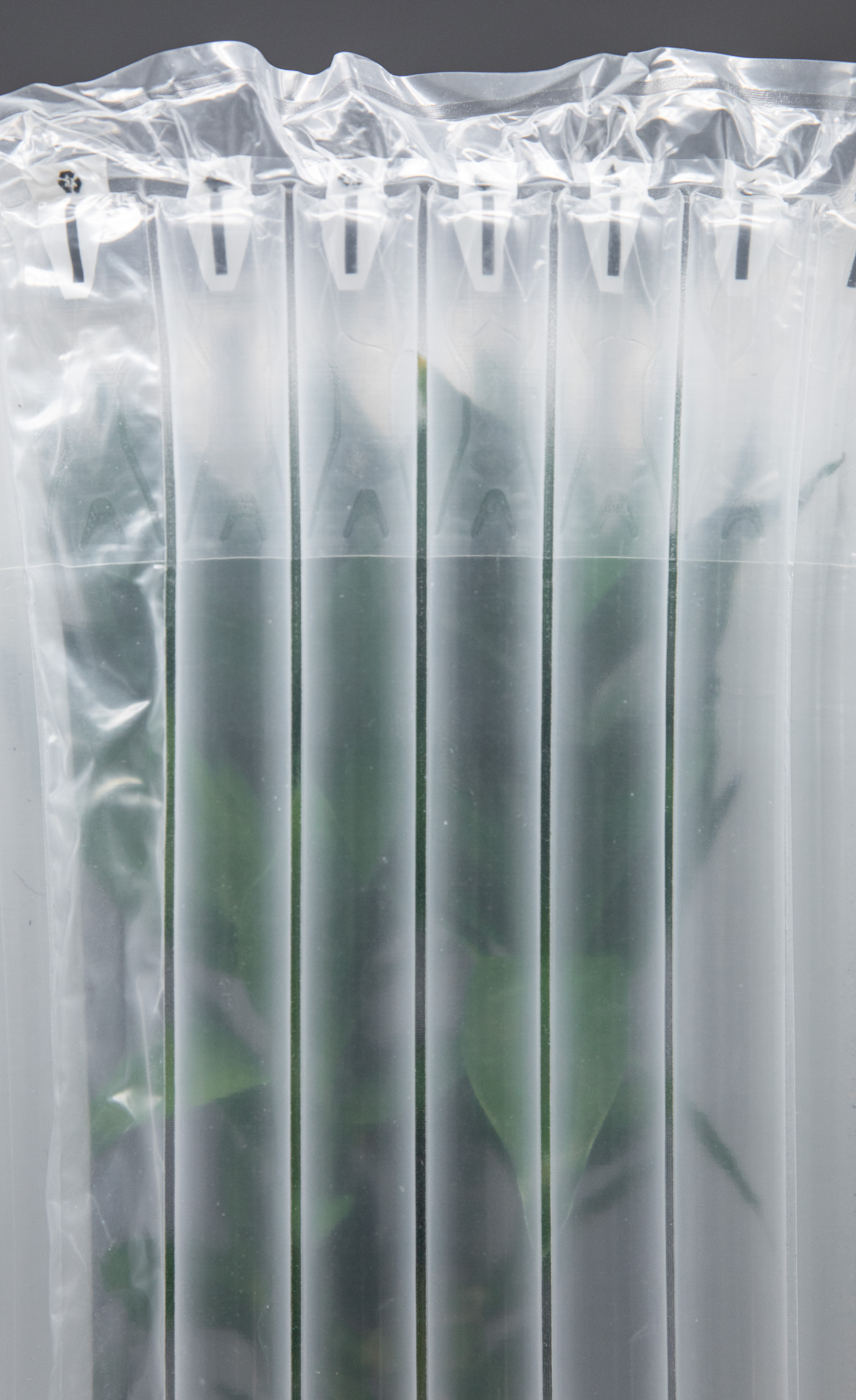 Bolsa de columna de aire verde protectora flexible duradera