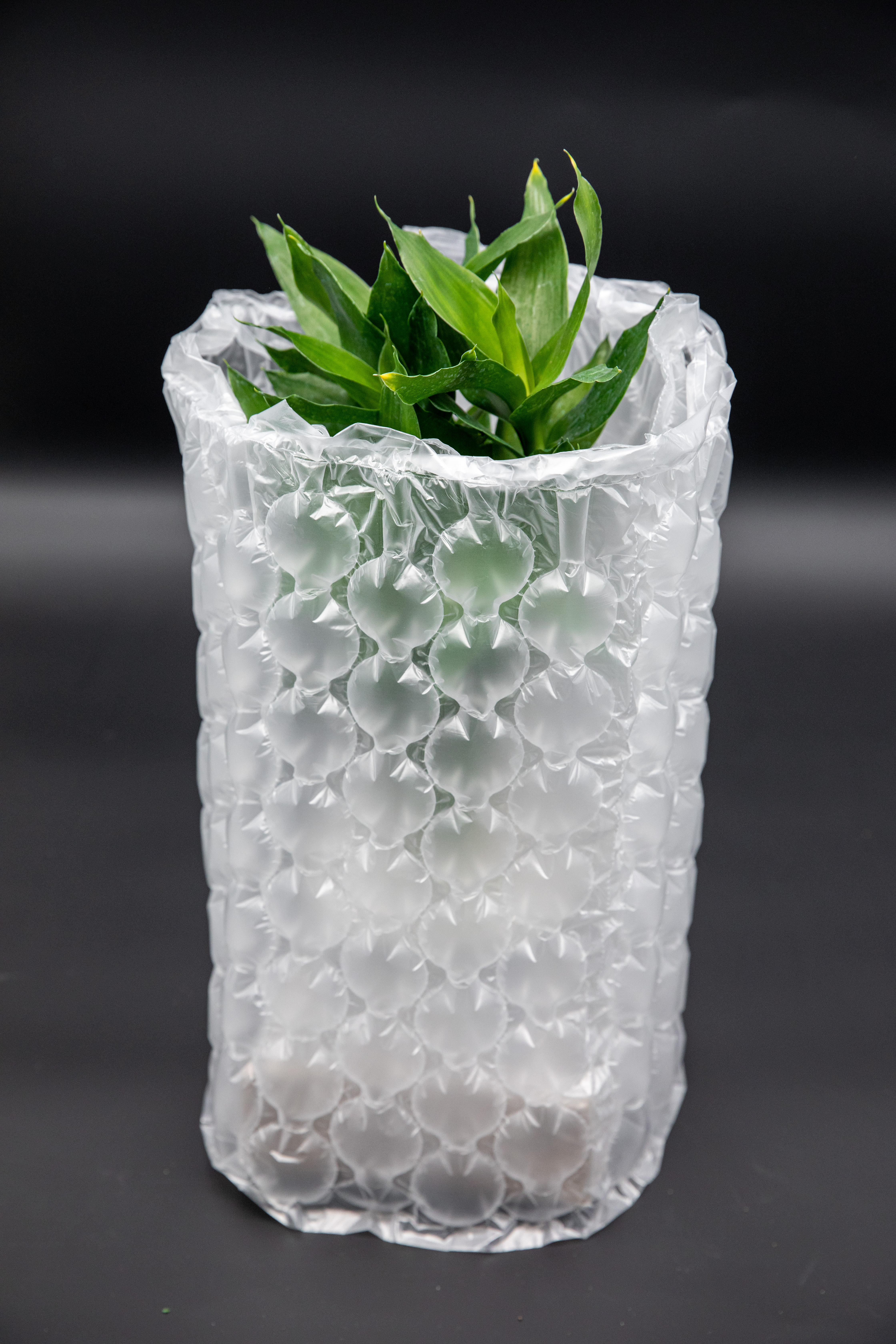 Plástico de burbujas de aire duradero con burbujas grandes compostables
